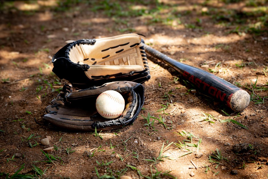 baseball glove and bat